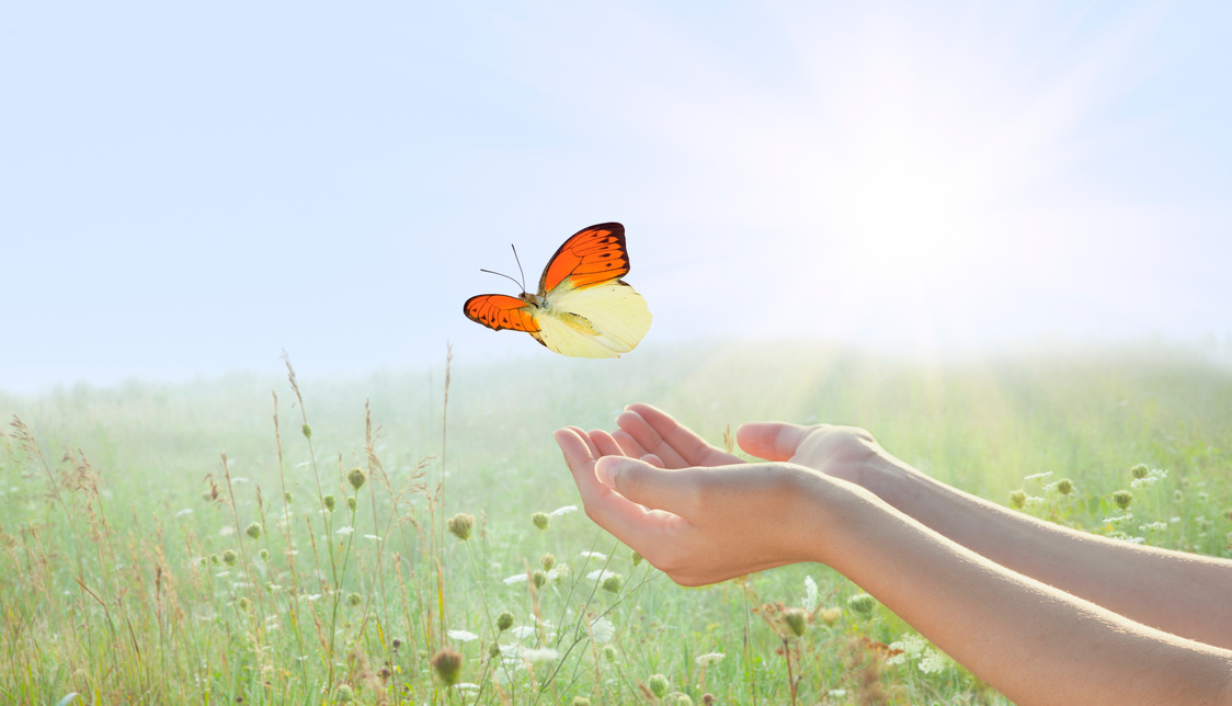 Young Woman Releasing a Butterfly over Field of Flowers