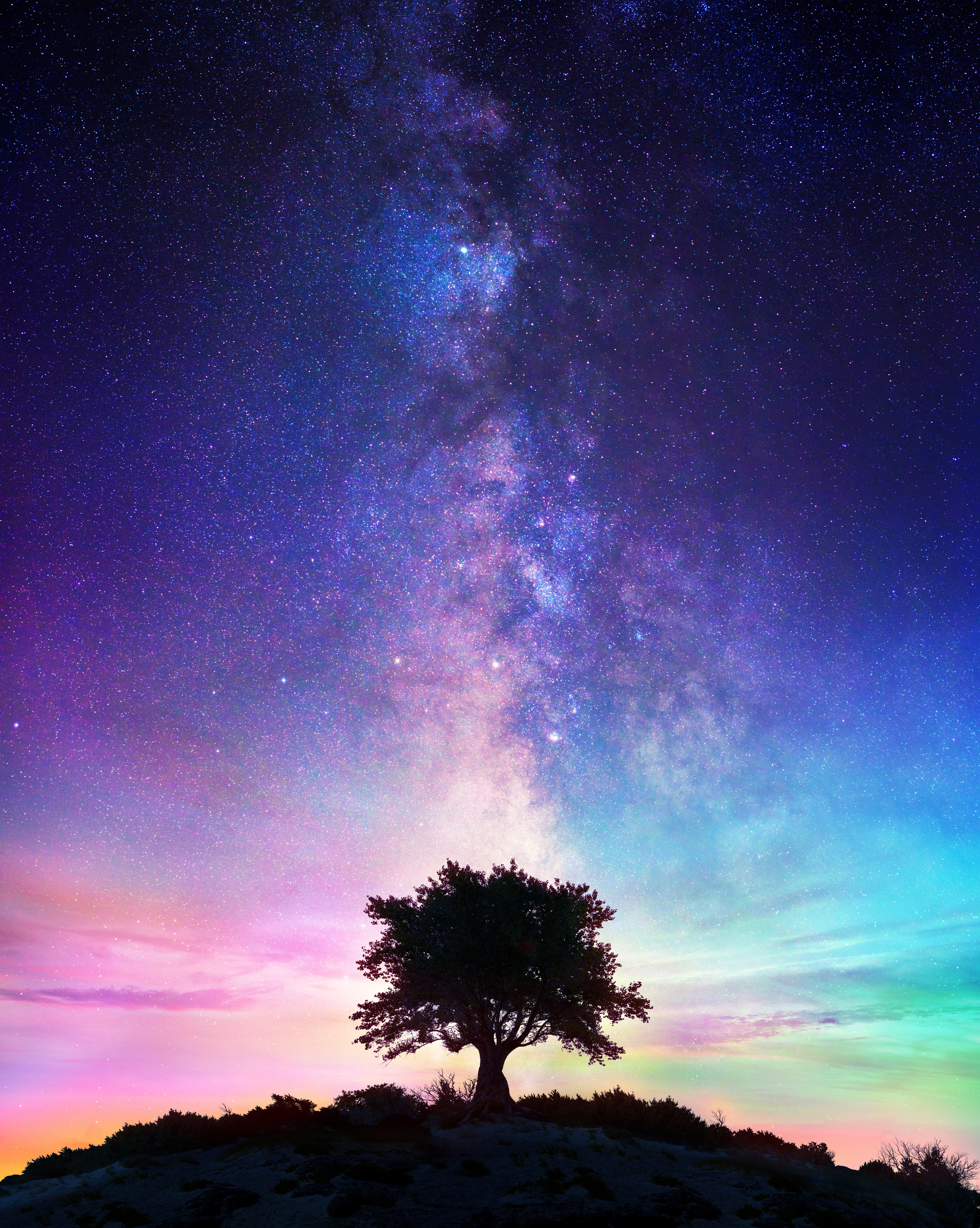 Starry Night  - Lonely Tree With Milky Way